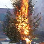 Foto Holger BauerDFV) tannenbaum