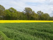 Wie geht es eigentlich der Landwirtschaft?
