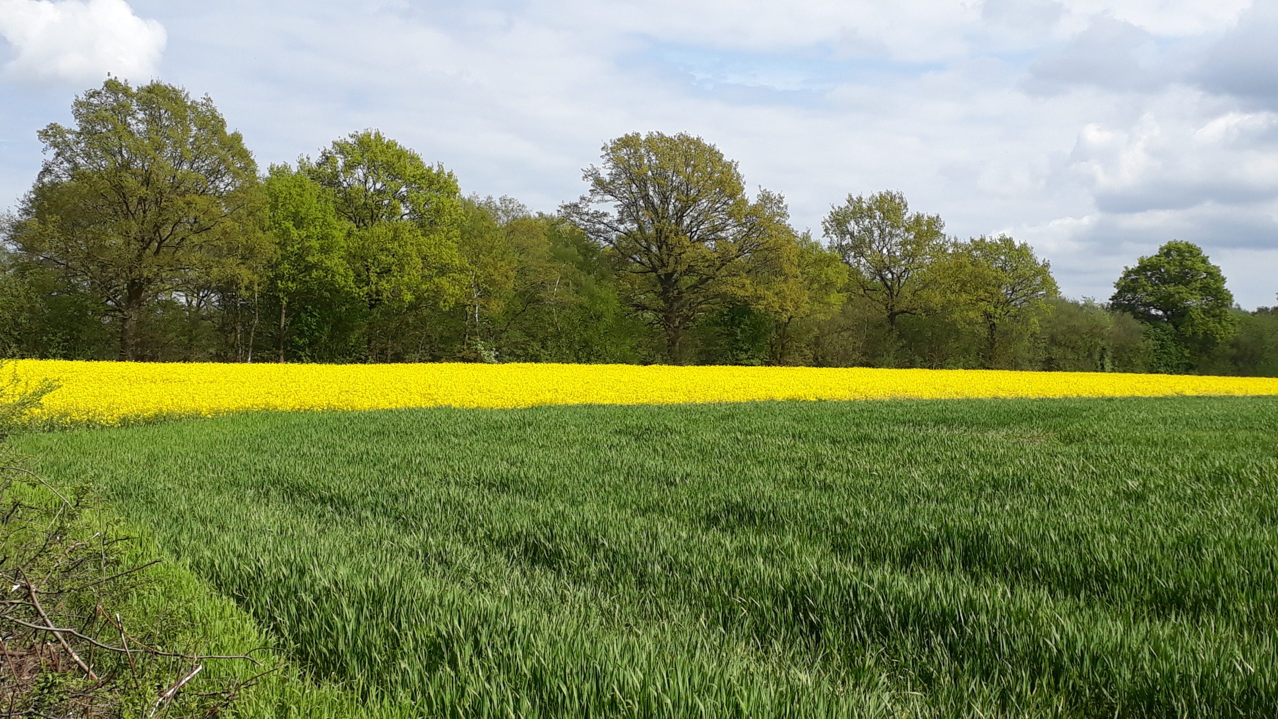 Wie geht es eigentlich der Landwirtschaft?