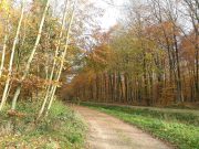 Intakte Moore schützen das Klima