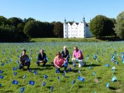 Kinderarmut im Kreis Stormarn auf Höchststand