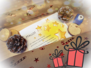 Stadtbibliothek Bargteheide startet Adventsaktion