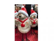 Adventausstellung in der Baumschule Andresen Bargteheide