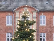 Weihnachtsbaum kaufen und Studierende unterstützen – Ein Gastbeitrag von Rainer Plambeck