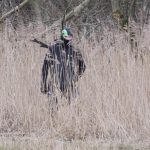 Ein weiterer Wilderer