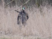 Eine andere Form von Wilderei