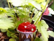 Buntes Ferienprogramm im Bargteheider Jugendzentrum