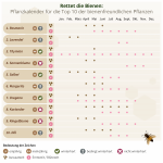 beliebteste-bienenfreundliche-pflanzen-aussaatkalender