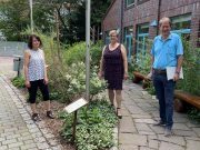 Die Stadtbibliothek Bargteheide wird attraktiver: Über 11.000 Euro Bundeszuschuss für die Gestaltung einer Sitz- und Leseecke