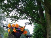 Fahrradcodierung des ADFC-Stormarn am Sonnabend, den 14. August 2021 in Ahrensburg