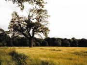 Emporengespräch zum Thema „Heimat“