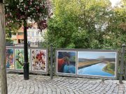 „Kunst to go“ in der Innenstadt von Bad Oldelsoe