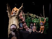 Mogli & Balou erobern den Stormarner Wald