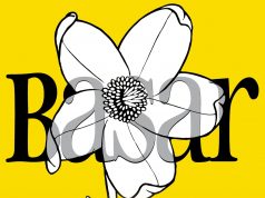 Es wird weihnachtlich – 6. Adventsbasar bei den Stormarner Werkstätten