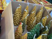 Bienen Lehr- und Schaugarten öffnet am kommenden Sonntag