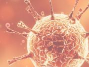 Impfangebote auch an den Feiertagen nutzen! Zusätzliche Impftermine buchbar ab 23.12.– bundesweites Etappenziel von 30 Millionen Impfungen für SH erreicht