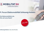 Elektromobilität: Wie reif ist der Markt?