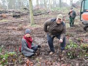 Aufforstung am Bornberg beginnt
