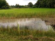 Der Heimatbund Stormarn (HBS) plant auch für 2022 ein umfangreiches und vielseitiges Jahresprogramm