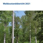 Waldzustandsbericht2021-01