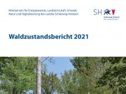Waldzustandsbericht 2021: Umweltminister Jan Philipp Albrecht plädiert für eine Stärkung der Waldmoore in Schleswig-Holstein