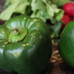 paprika-g8b6abae87_640