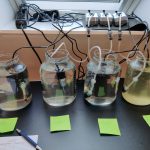 Teststation Anton