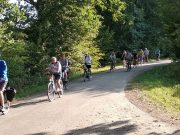 ADFC Feierabend-Fahrradtour am Sonntag, den 27.3.2022: „Zum österlichen Frühlingsmarkt an der Trittauer Wassermühle“