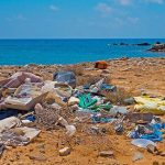 garbage-ga16a1ea6f_640