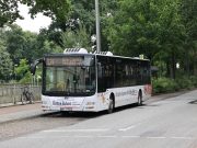 RB 81: Ersatzverkehr mit Bussen
