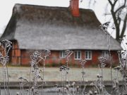 Adventsmarkt in der Tremsbütteler Kate