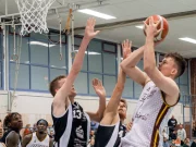TSV Bargteheide BEES feiern wichtigen Heimsieg im Playoff-Rennen