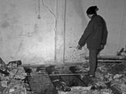 Tatort Stormarn: Post von einer Toten