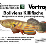 Plakat Aquarienverein