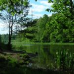 Lottbeker-Stauteich-im-Frühjahr