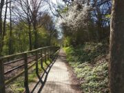 ADFC Feierabend-Fahrradtour 6. Juli 2023: „EBOE und Königlich Preußische Staatsbahn“