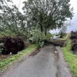 20230724_Fischbeker_Weg