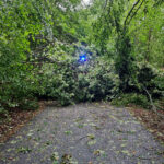 20230724_Glindfelder_Weg
