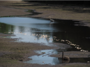 Pressemitteilung des NABU Ammersbek