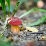 TZ9_9191_hfr_Bildnachweis_Timon_Kronenberg