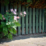 TZ9_9254_hfr_Bildnachweis_Timon_Kronenberg