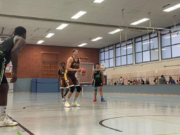 TSV Bargteheide BEES bringen die Bundesliga nachBargteheide – alle Infos zum Mubi Cup 2023