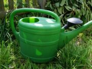 Sparsamer Umgang mit Wasser bei Hitzeperioden