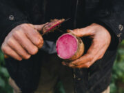 Den Wert von echten Lebensmitteln erkunden