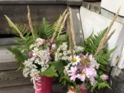 Pflanzenreich & Gartenzier