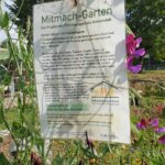 dk IMG-20230925-WA0021