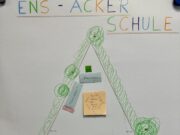 Das Ackerprojekt der Emil-Nolde-Schule