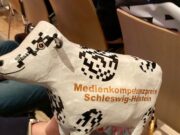 Medienkompetenzpreis S.H. für das KI-Projekt des Eckhorst-Gymnasiums