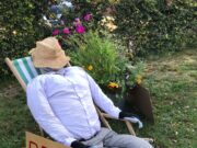 Markt rund um den Garten