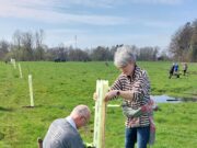Agroforstsystem auf Gut Wulksfelde dank Fördermitteln der Bingo Umweltlotterie und der Gerd Godt-Grell Stiftung erfolgreich angelegt